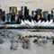 View From the North Shore